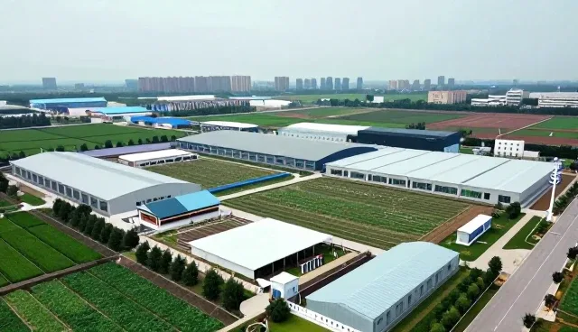 提升教学效率的关键：教育软件使用与维护策略